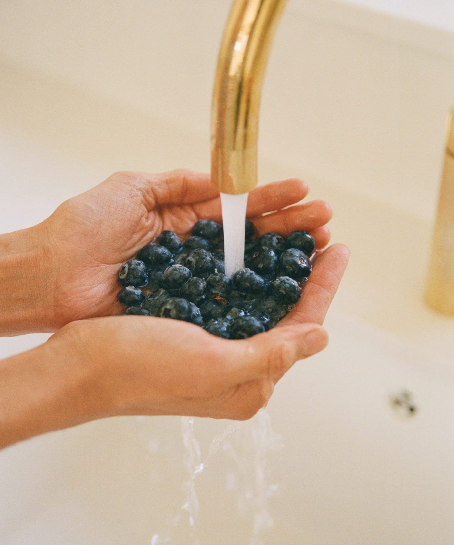 Zero Cravings nutrition benefit